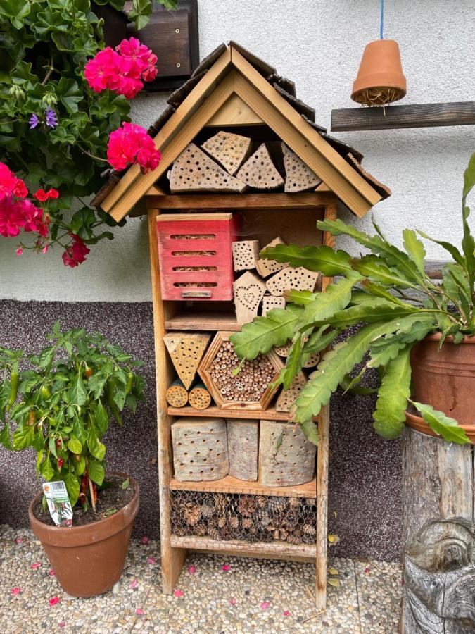 Ferienwohnung Sonnschein Bad Mitterndorf Ngoại thất bức ảnh